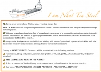 NHAT TIN STEEL - ACCOMPANIMENT OF PROJECTS
