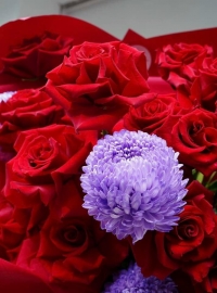 CHIẾN LƯỢC MỚI MỞ RỘNG THỊ TRƯỜNG TĂNG MỨC DOANH SỐ